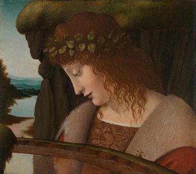 Narcissus by Leonardo da school of Vinci
